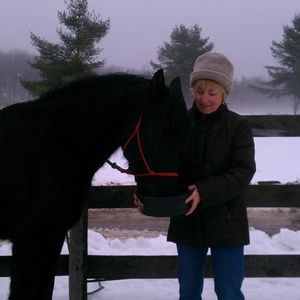 Meet your Posher, Phyllis